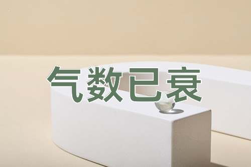 成语气数已衰