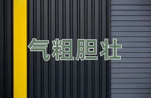 成语气粗胆壮