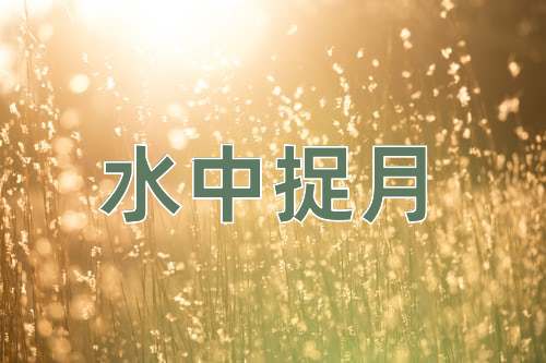 成语水中捉月