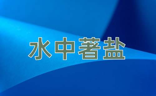 成语水中著盐