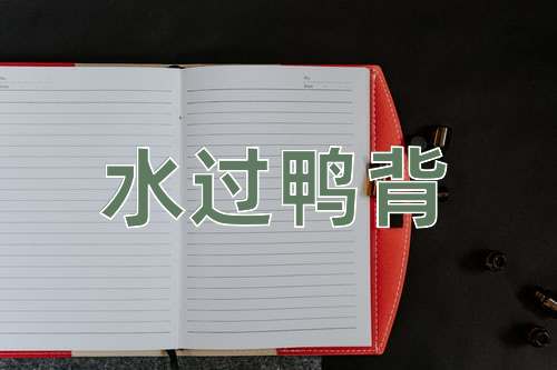 成语水过鸭背