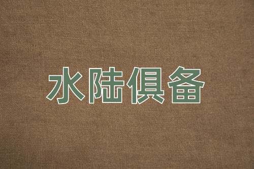 成语水陆俱备