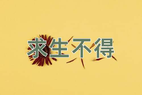 成语求生不得