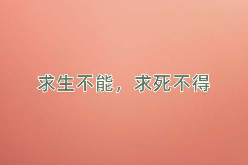 成语求生不能，求死不得