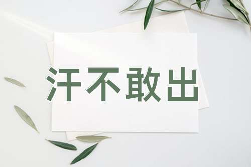 成语汗不敢出