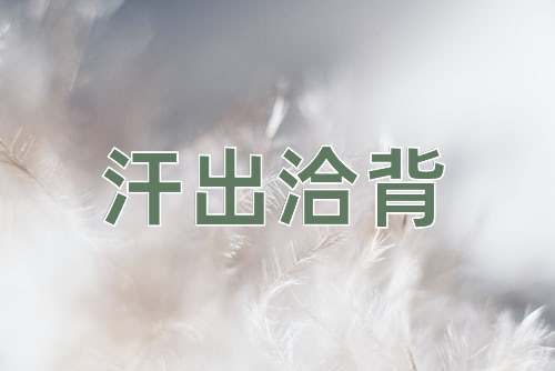 成语汗出洽背