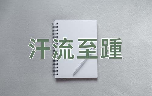 成语汗流至踵