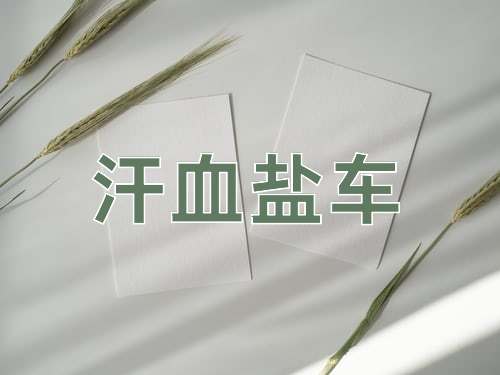 成语汗血盐车