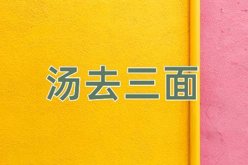 成语汤去三面