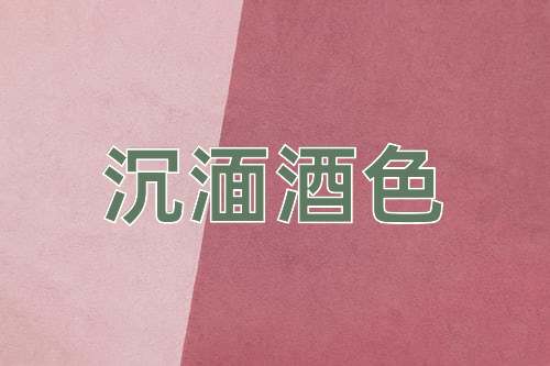 成语沉湎酒色