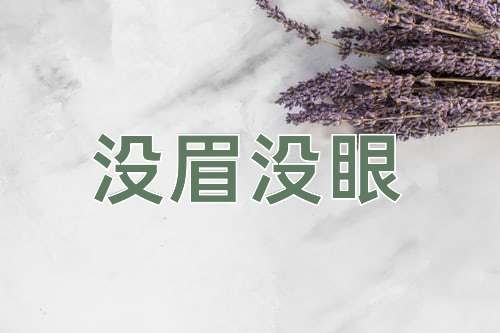 成语没眉没眼