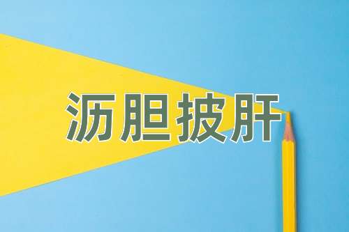 成语沥胆披肝
