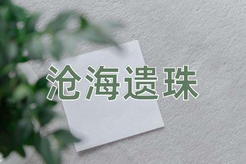 成语沧海遗珠