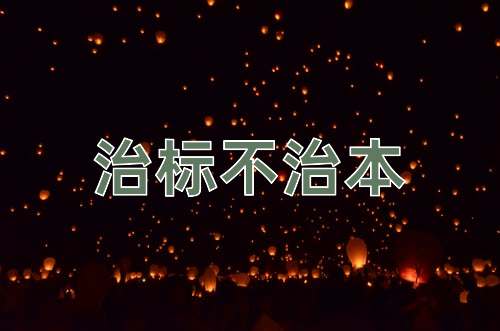 成语治标不治本