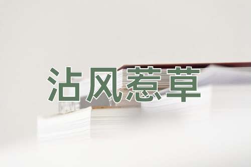 成语沾风惹草