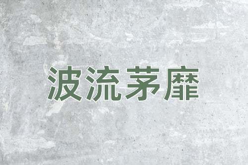 成语波流茅靡