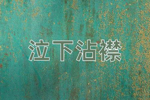 成语泣下沾襟