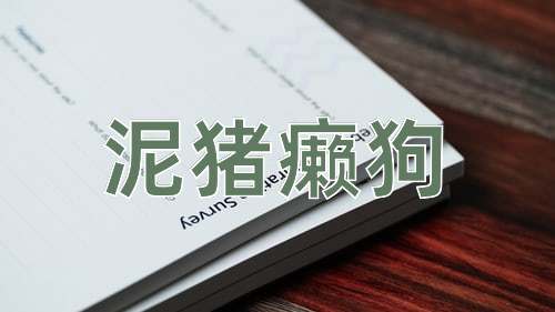 成语泥猪癞狗