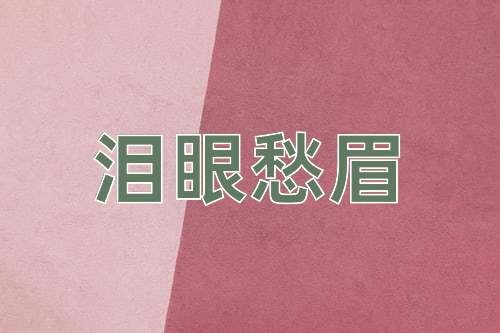 成语泪眼愁眉