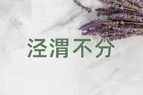 成语泾渭不分