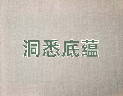 成语洞悉底蕴