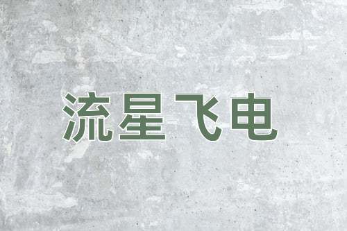成语流星飞电