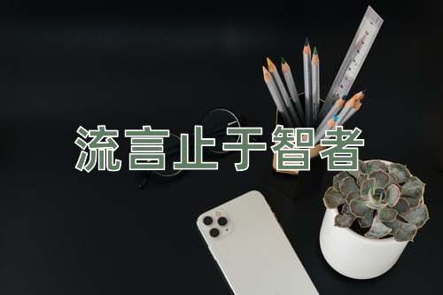 成语流言止于智者