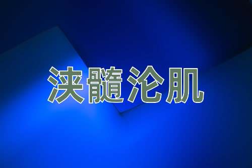 成语浃髓沦肌