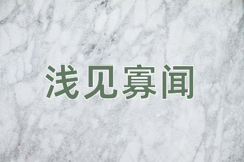 成语浅见寡闻
