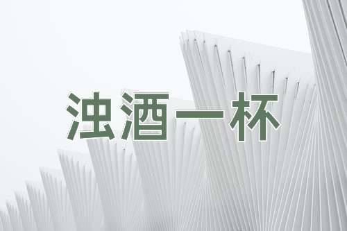 成语浊酒一杯