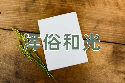 成语浑俗和光