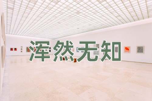成语浑然无知