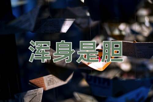 成语浑身是胆