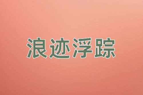 成语浪迹浮踪