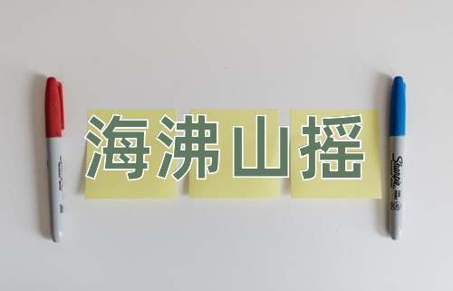 成语海沸山摇