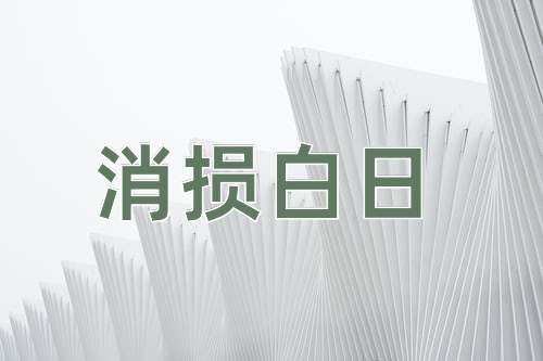 成语消损白日