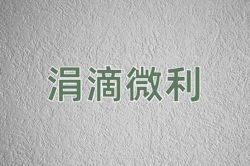 成语涓滴微利