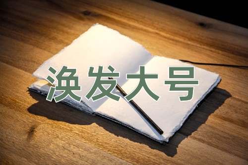 成语涣发大号