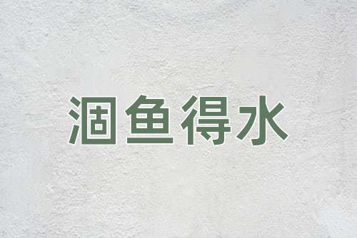 成语涸鱼得水