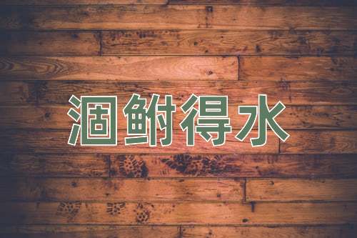 成语涸鲋得水