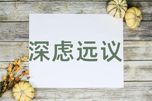 成语深虑远议