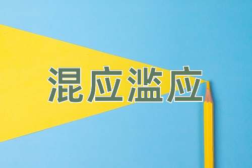 成语混应滥应