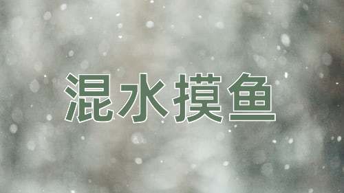 成语混水摸鱼