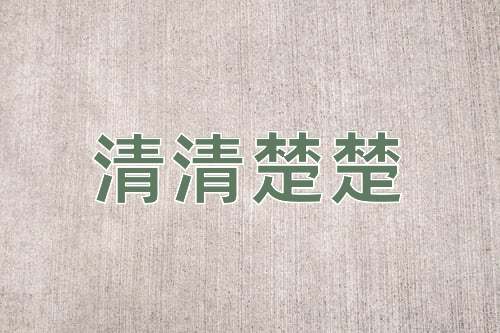 成语清清楚楚