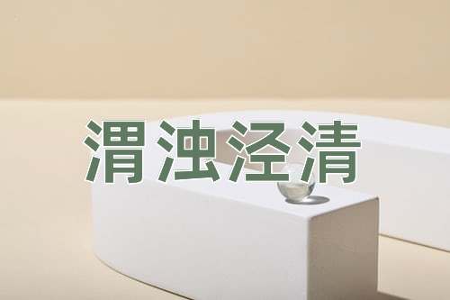 成语渭浊泾清