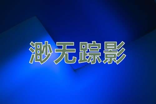 成语渺无踪影