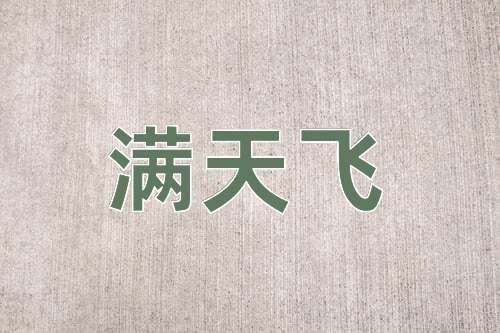 成语满天飞