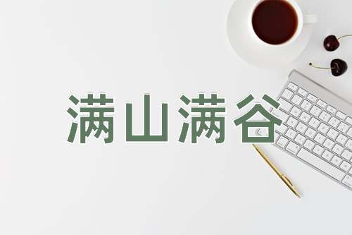 成语满山满谷