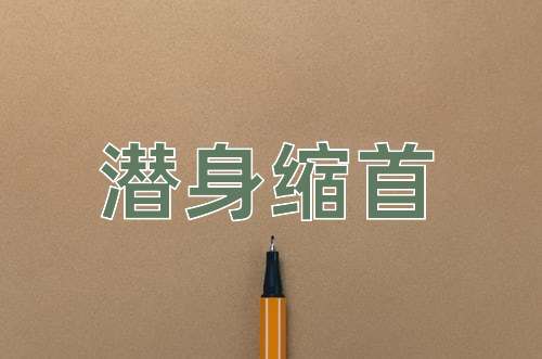 成语潜身缩首