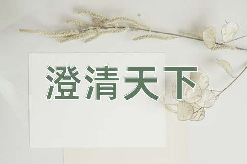 成语澄清天下